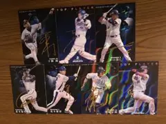 Calbeeプロ野球チップスカード2009 サイン入り7枚セット