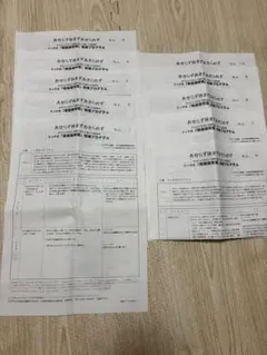 家庭保育園　キララ　指導プログラム、ペアレンツガイドなど　貴重な資料多数 家庭保育園 キララ 指導プログラム、ペアレンツガイドなど 貴重