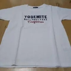 セブンブリッジ　Ｔシャツ　160