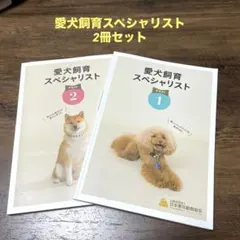 Item thumbnail for item d7a906fe-bfae-432a-93e8-7d05741ad1e9