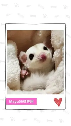 【Mayu56様専用】モモンガポーチ