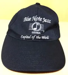 Blue Note NEW YORK 10ホールズ ハーモニカ ケース付 - メルカリ