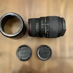 ☆ジャンク☆SIGMA 70-300mm F4-5.6 マクロ 126 - メルカリ