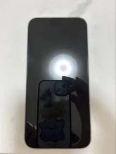 iPhone15 promax 256GB