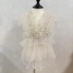 Item thumbnail for item 546a3943-f8c2-4d56-9c2c-9db43965fddb