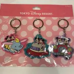 ディズニー アトラクション キーチェーン セット