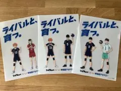 ハイキュー!! 早稲アカコラボクリアファイル 3枚セット