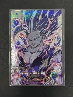スーパードラゴンボールヒーローズ 孫悟飯:SHのサムネイル