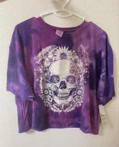 Item thumbnail for item 5801e683-e561-40b7-96f5-8d4f70ce9ae1