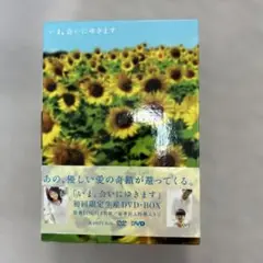 2025年最新】いま、会いにゆきます dvd-boxの人気アイテム