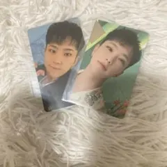 SEVENTEEN Dream 会場限定 ホシトレカ