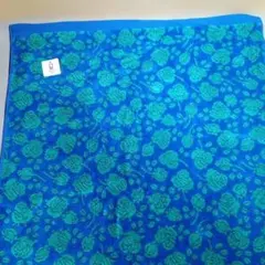 Item thumbnail for item 4320e9ff-31a0-464b-96e9-0028799a15d6