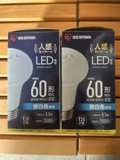 Item thumbnail for item 9a6485aa-86f8-4b8b-bba6-7ed74e30f70a