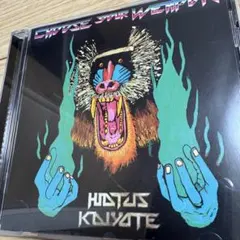 Hiatus Kaiyote / Choose Your Weapon