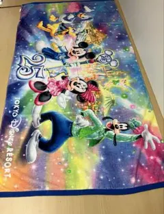 【未使用】Tokyo Disneyland 25周年記念　大判バスタオルのサムネイル