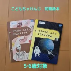 こどもちゃれんじ　ずかんシリーズ　知育絵本２冊