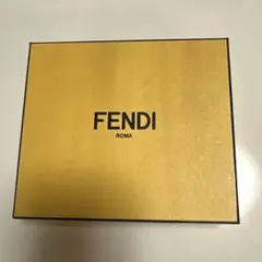 FENDI アクセサリー専用箱・保存袋・カードセット
