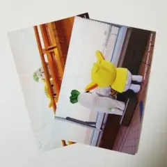 Item thumbnail for item 38037c2c-fa78-4d78-b6e8-f972c076cd2a