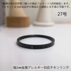 bj3L016アレルギー対応金属 ブラックリング 27号