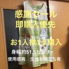 ❤️感謝セール❤️即購入優先❤️生地に毛羽立ち有となりのトトロリユースエプロン　保育士のサムネイル