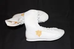 Item thumbnail for item 40b0e0cd-a23d-43a6-a70c-81cb31eac3da