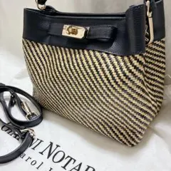 ジャンニノターロ 2wayバッグ かご レザー マグネット イタリア ショルダーのサムネイル