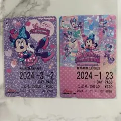 ディズニーリゾートライン ミニー　フリーきっぷ　ディズニー　パルパルーザ2024