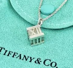 2026年最新】Tiffanyアトラスキューブネックレスの人気アイテム - メルカリ