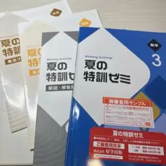 ★ワーク中学3年　夏の特訓ゼミ　数学、理科、社会