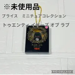 最終価格【未使用品】ブライス　Blythe ミニチュアパッケージコレクション