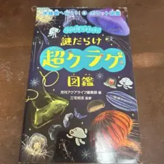 Item thumbnail for item 2053b15b-d5d7-4dbd-bc74-a8a84529b611