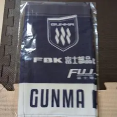 ザスパ群馬× SUBARU 公式応援グッズ