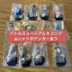 ポケットモンスター ポケモンバトルミュージアム9 全12種セット【7010