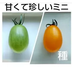 みえこ（mieko ）様 リクエスト 2点 まとめ商品