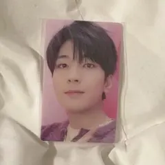 SEVENTEEN DREAM ウォヌ トレカ