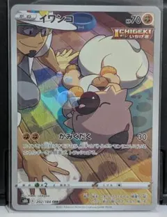 即日発送 イワンコ chr 30枚 ポケモン - ポケモンカード イワンコ CHRの通販 by Zozo-Zen 2010