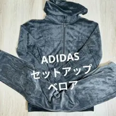 未使用級　ADIDAS アディダス　ベロア　ジャージ　セットアップ