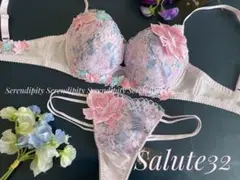 サルート E65/M 32G パリ PUのサムネイル