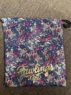 Item thumbnail for item cf3e5dcf-9568-4efe-ad39-e4a8cf124717