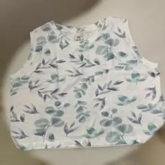 Item thumbnail for item 6067cf0e-cd04-4c22-af05-50271115e474