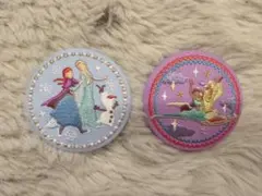 ❣️ディズニー刺繍缶バッジ アナ雪 アラジン