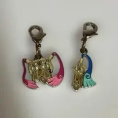 寶可夢 全國圖鑑金屬吊飾