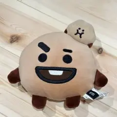 BT21 ぬいぐるみ 約２０㎝