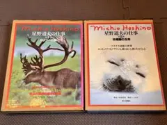 2026年最新】星野道夫 写真集の人気アイテム - メルカリ