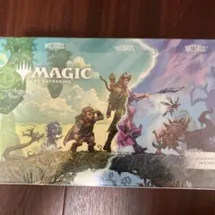 MTGブルームバロウ プレイブースターボックス日本語版 - メルカリ