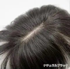 Item thumbnail for item ea85d0c2-39ef-49cc-8343-f2f8592a640e