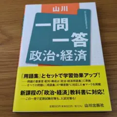 山川一問一答 政治・経済