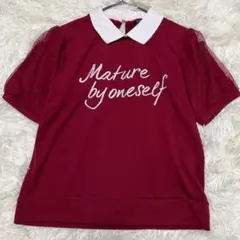 INGNI イング 白襟 カットソー チュール袖 パフスリーブ ロゴ刺繍