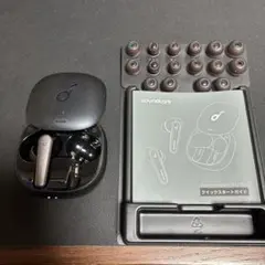 毎日値下げ！soundcore Liberty Air2 Pro 左耳とケース
