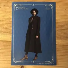 【ラリー】ファンタビランダムブロマイド